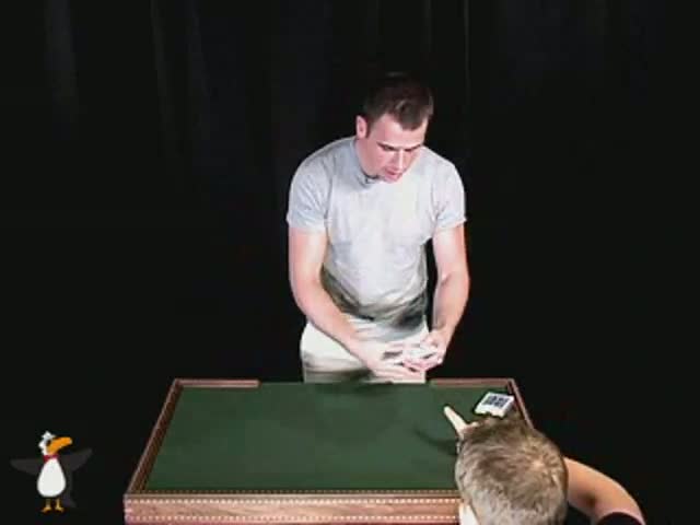 Temporary Insanity by Oliver Clark