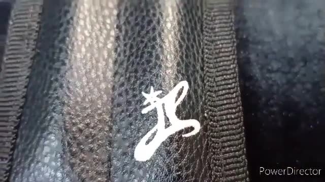 Magic Wand (Black) by JL Magic