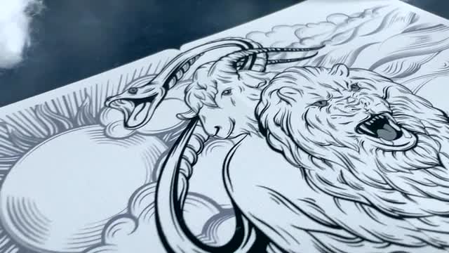 トランプ Pegasus Playing Cards Pegasus Playing Cards (Red) | X-Decks Playing Cards